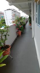Blk 24 Eunos Crescent (Geylang), HDB 3 Rooms #578697431